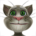 Talking Tom Cat for iPad