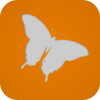 no app image